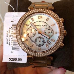 Michael Kors Watch (Rose Gold)
